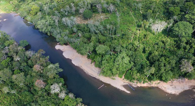 Mind the Darién Gap, braving the treacherous pathway to a better life